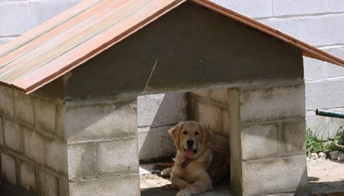 construir casa para perros 