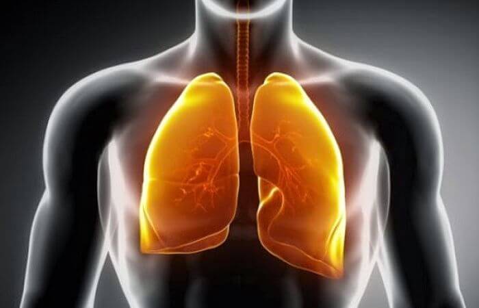 Tratamiento para la mucosidad en los pulmones