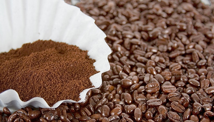 Pozos de café como remedios caseros para las cucarachas