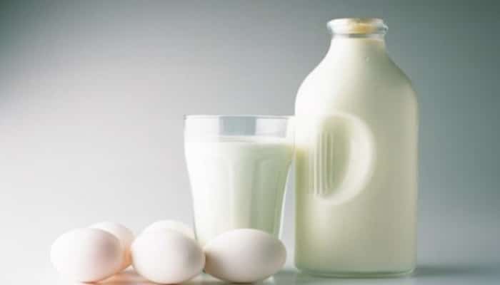 Huevos y lacteos dieta por puntos