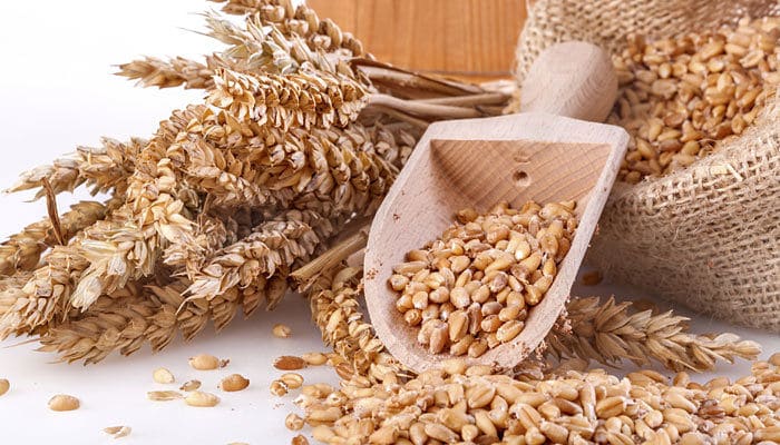 Beneficios del trigo integral