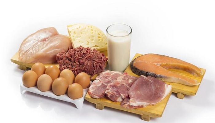 Alimentos saludables para realizar una dieta de proteinas 