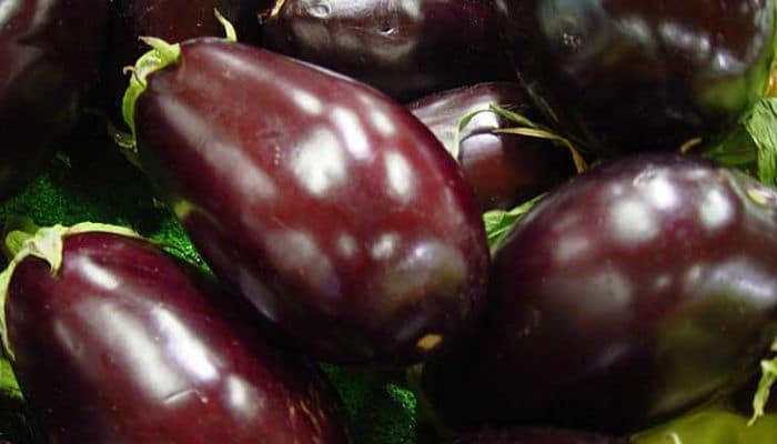 Variedad de frutas oscuras para la dieta de macrobiótica para adelgazar 
