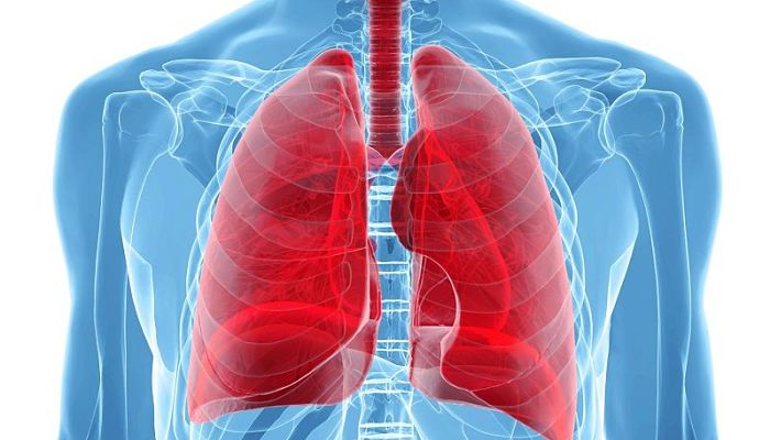 la salud de los pulmones 
