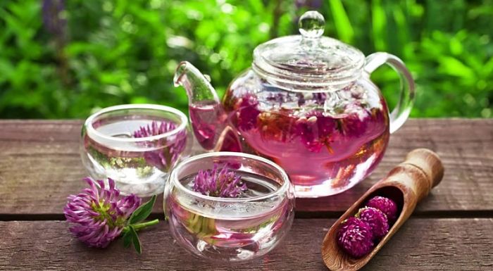 El té de trébol rojo ayuda a aliviar las complicaciones y molestias relacionadas con la menopausia.
