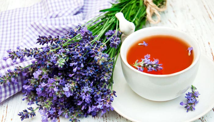 Es unos tés de hierbas medicinales que se utiliza como una hierba perfumada todo el mundo