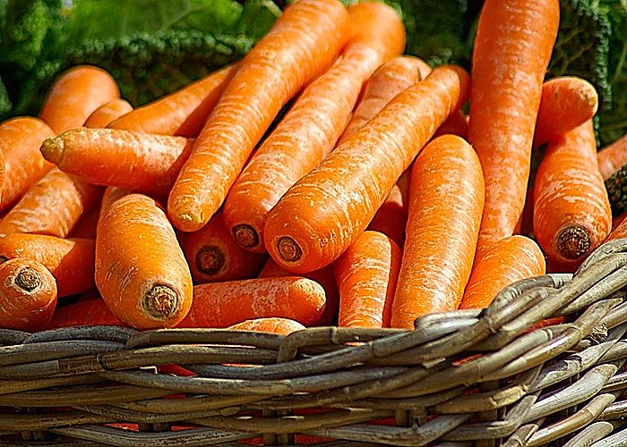 Las zanahorias son una excelente fuente de vitamina A y C y actua en crecimiento 