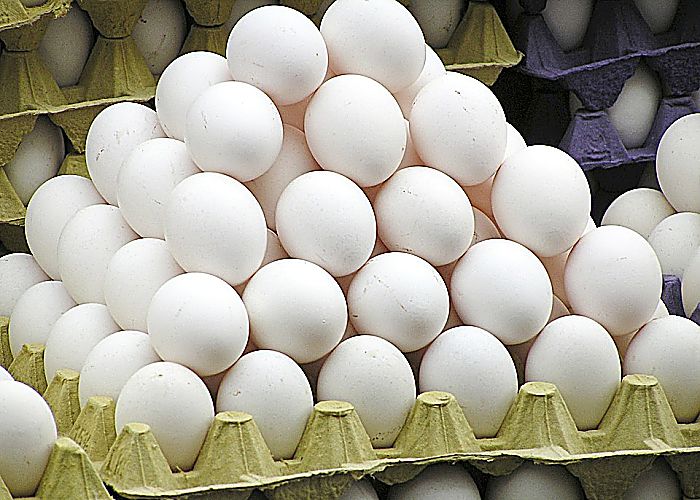 Los huevos contienen proteínas de alta calidad que pueden ayudarle a obtener el crecimiento óptimo