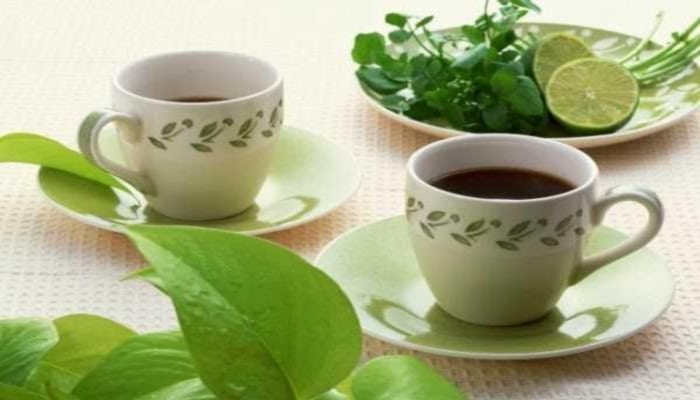 Dieta para rebajar del te verde