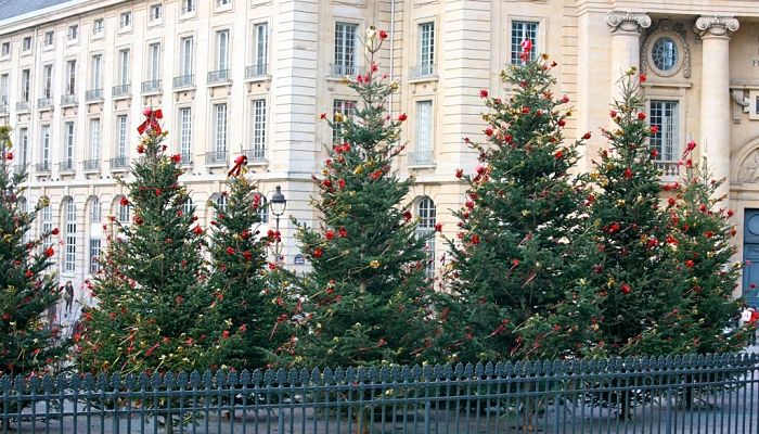 Árboles de navidad en francia