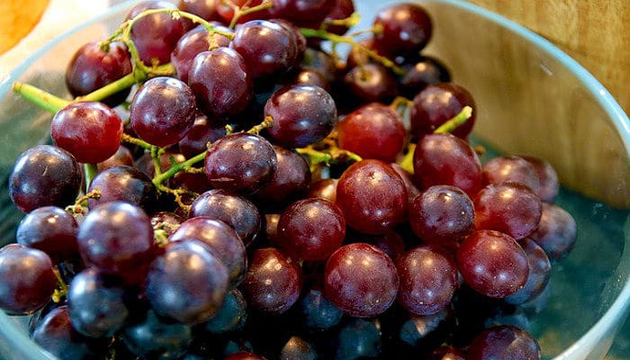 Tipos de uvas de vino rojo