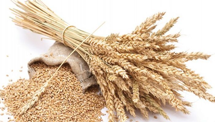 Propiedades de aceite de germen de trigo 