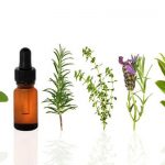 Mejores aceites esenciales para masajes y sus propiedades