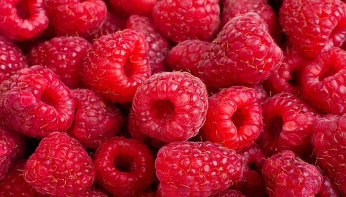 Arandanos beneficios de las frutas rojas