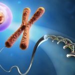 Cromosomas Del Ser Humano