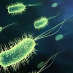 Tratamientos naturales para Helicobacter pylori