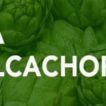 Propiedades de la alcachofa