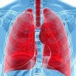 la salud de los pulmones