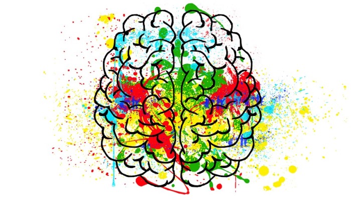 La creatividad y el cerebro
