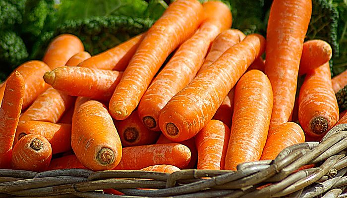 La zanahoria es considerado como uno de los remedios caseros eficaces para eliminar las pecas, ya que es una gran fuente de vitamina A. 