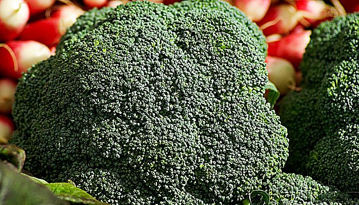 El brócoli es considerado un súper alimento que puede traer beneficios increíbles para su visión.