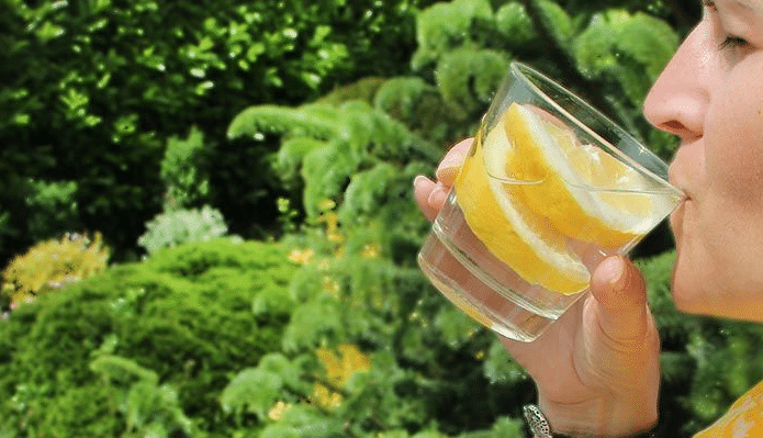 cítrico del jugo de limón puro