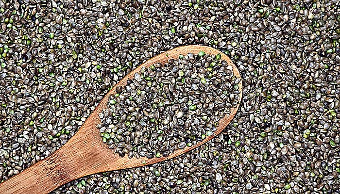 Las semillas de cáñamo tienen un doble efecto sobre la pérdida de peso