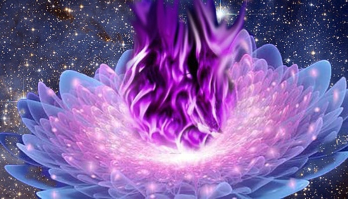 llama violeta el poder de la intuicion