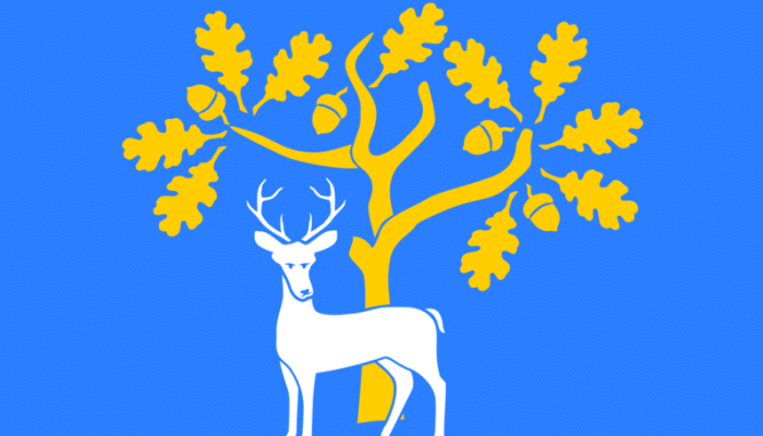 Bandera de Berkshire