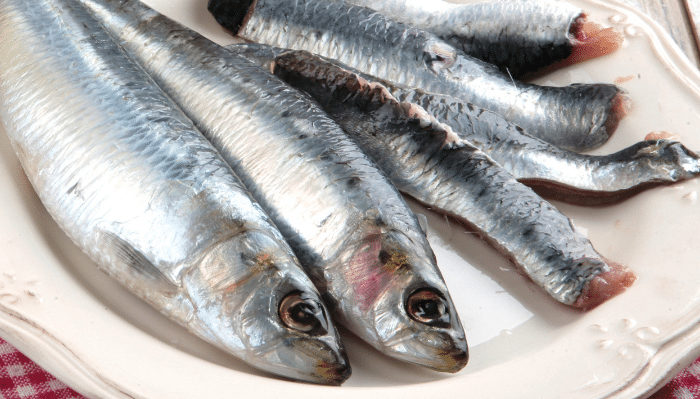 sardinas ricas en hierro