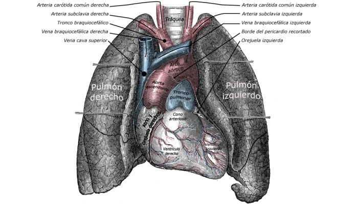Otras causas de manchas en el pulmón