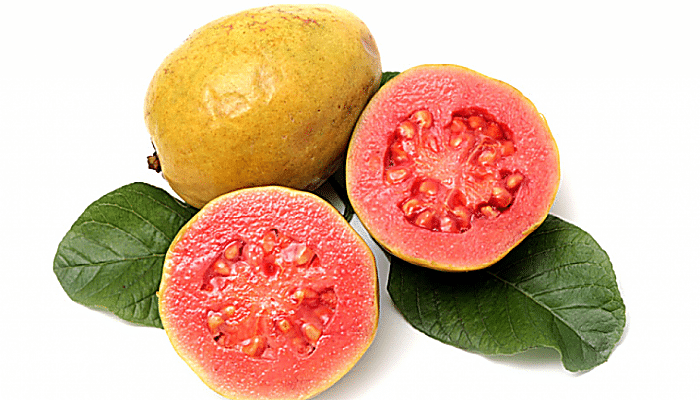 La guayaba tiene una gran cantidad de vitamina C por porción, por lo que añadir esta fruta exótica a su dieta es una necesidad si usted es susceptible a las infecciones pulmonares.