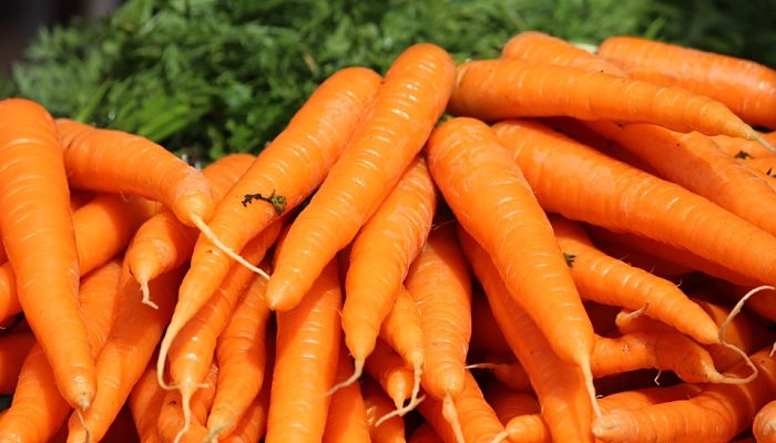 Las zanahorias alimentos que reducen el nivel de colesterol