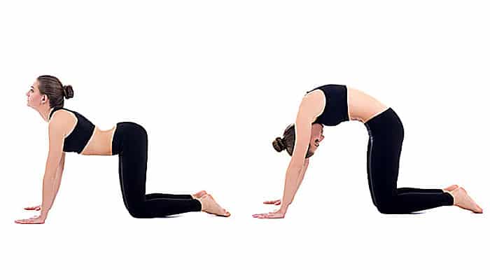 La pose de yoga gato/ vaca es excelente para tratar el dolor de espalda