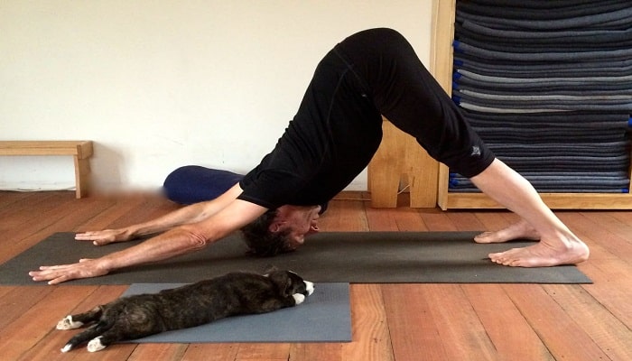 postura de yoga el perro mirando hacia abajo