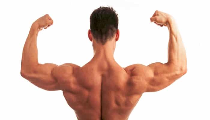desarrollar los músculos atrofiados