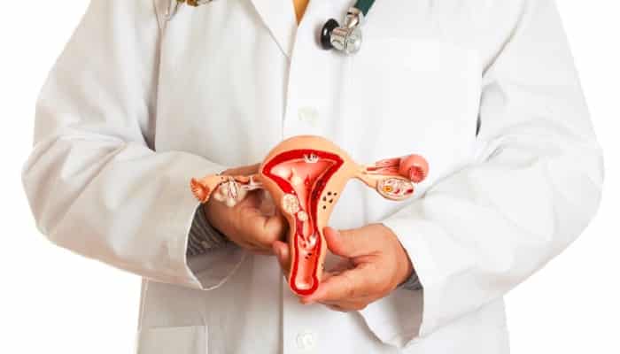 revestimiento uterino